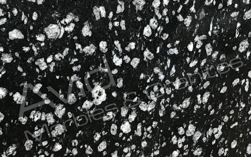 Coin Black Granite Manufacturers from India