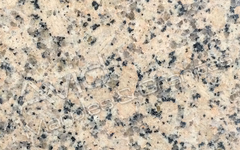 Panther Yellow Granite Manufacturers from India