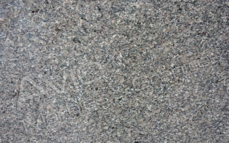 Sable Brown Granite Manufacturers from India