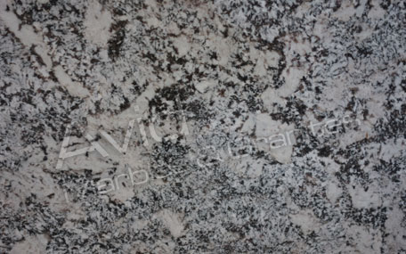 Alaska White Granite Suppliers from India
