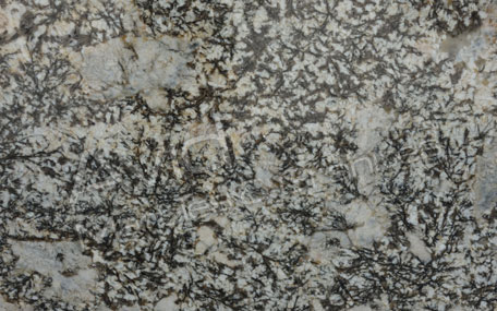 Cairo Gold Granite Suppliers from India