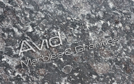 Damson Black Granite Suppliers from India