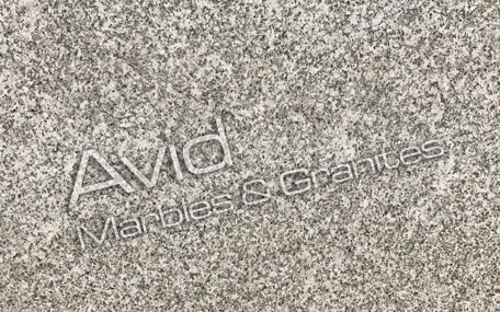 Frost Grey Granite Producers in India