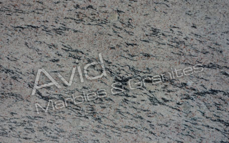 May Flower Granite Suppliers from India