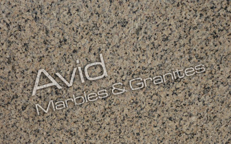 Omega Yellow Granite Exporters from India