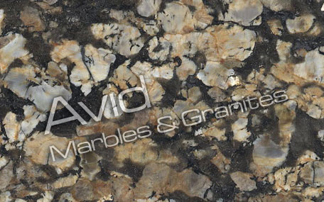 Pegasus Gold Granite Exporters from India