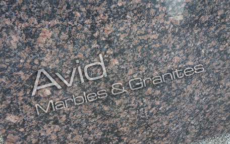 Sapphire Brown Granite Suppliers from India