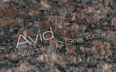 India Sapphire Brown Granit
