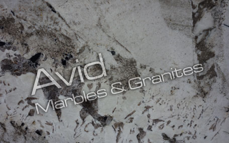 Terrace White Granite Suppliers from India