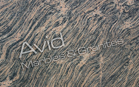 Tiger Skin Granite Wholesalers in India