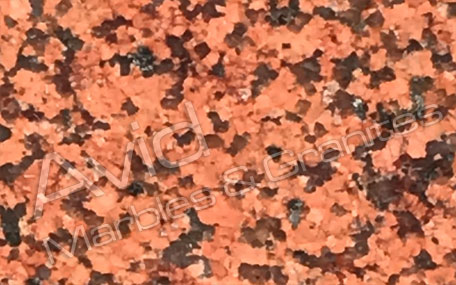 Classic Red Granite Exporters from India