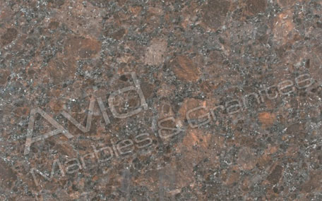 Coffee Brown Granite Exporters from India