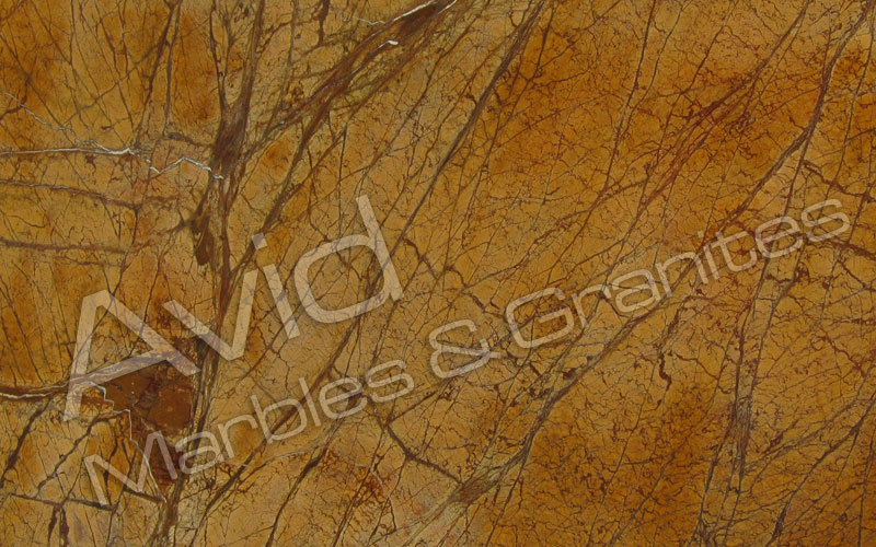 Rainforest Gold Marble Manufacturers from India