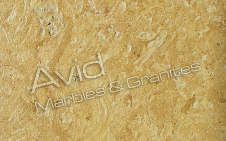 Flowery Gold Marble Wholesalers in India
