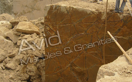 Rainforest Brown Marble Suppliers from India
