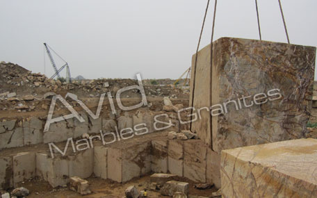 Rainforest Brown Marble Exporters from India