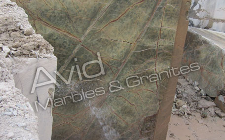 Rainforst Green Marble Suppliers from India