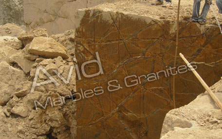 Rainforst Multi Marble Suppliers from India